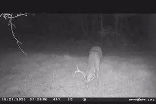 4112 E Vermontville Hwy, Potterville, MI 48876 - Photo 34