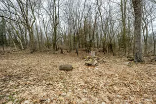 1298 Colfax Ave, Benton Harbor, MI 49022 - Photo 56