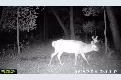 N Carlson Road, Parma, MI 49269 - Photo 92