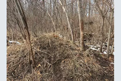 N Carlson Road, Parma, MI 49269 - Photo 24