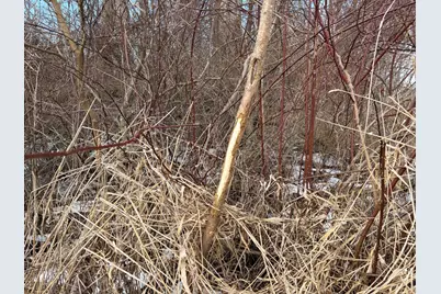 N Carlson Road, Parma, MI 49269 - Photo 42