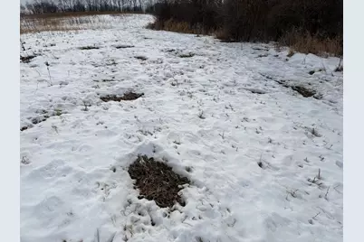 N Carlson Road, Parma, MI 49269 - Photo 38