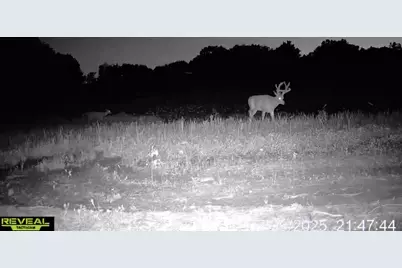 N Carlson Road, Parma, MI 49269 - Photo 84