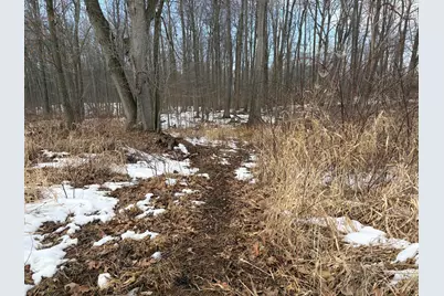 N Carlson Road, Parma, MI 49269 - Photo 28