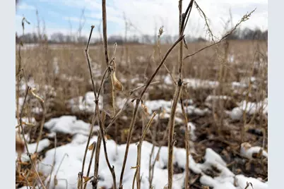 N Carlson Road, Parma, MI 49269 - Photo 32