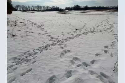 N Carlson Road, Parma, MI 49269 - Photo 30