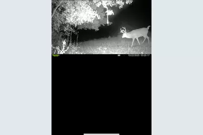 N Carlson Road, Parma, MI 49269 - Photo 94