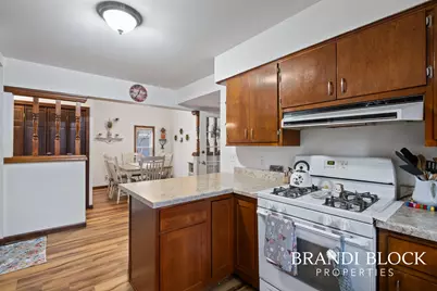 723 N Washington Street, Lowell, MI 49331 - Photo 12