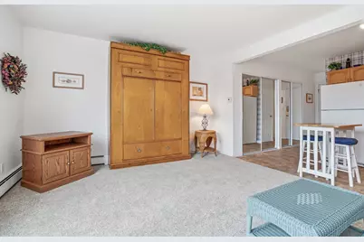 223 N Shore Drive #308, South Haven, MI 49090 - Photo 8