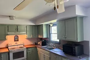 300 Cleveland St, Chelsea, MI 48118 - Photo 6