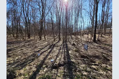 Vl Lindburg Drive, Dowagiac, MI 49047 - Photo 1