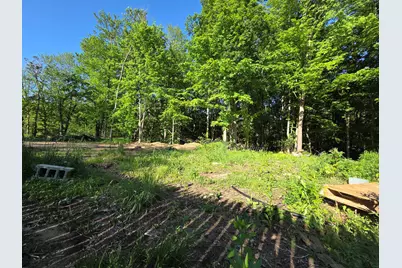 Vl Lindburg Drive, Dowagiac, MI 49047 - Photo 4