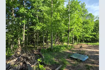 Vl Lindburg Drive, Dowagiac, MI 49047 - Photo 2