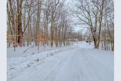 12349 Wagon Wheel Trail #386, Canadian Lakes, MI 49346 - Photo 4