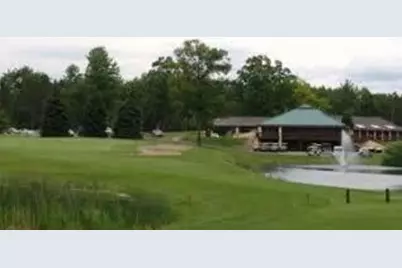 12349 Wagon Wheel Trail #386, Canadian Lakes, MI 49346 - Photo 10