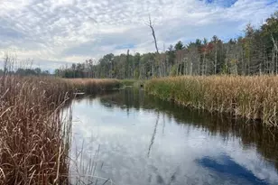 5683 N Tyndall Rd, Branch, MI 49402 - Photo 44