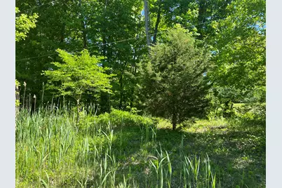 19499 Kluver Road, New Buffalo, MI 49117 - Photo 2