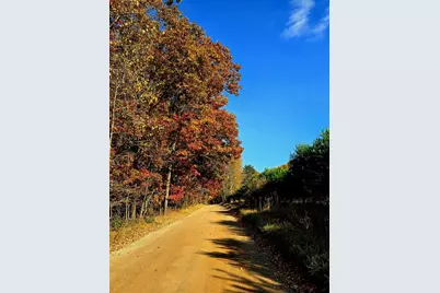 9433 8 Mile Road, Mecosta, MI 49332 - Photo 52