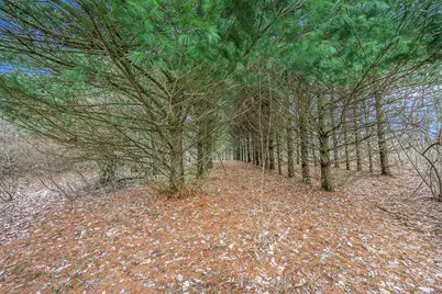 Lot 6 Highfield Road, Three Rivers, MI 49093 - Photo 16