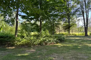 12435 WinterGreen Dr, Thompsonville, MI 49683 - Photo 52