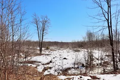 10478 Wampum Trail, Evart, MI 49631 - Photo 80