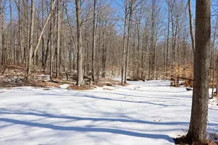 10478 Wampum Trail, Evart, MI 49631 - Photo 68