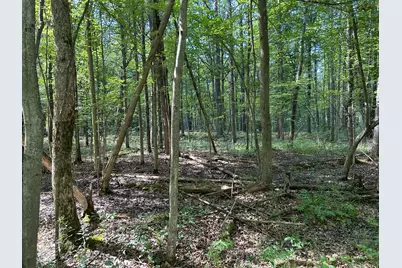 3100 W Isabella Road, Shepherd, MI 48883 - Photo 1