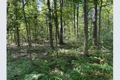 3250 W Isabella Road, Shepherd, MI 48883 - Photo 1