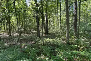 3250 W Isabella Rd, Shepherd, MI 48883 - Photo 1