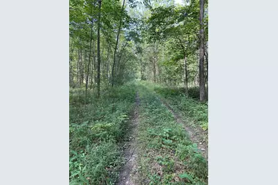 3250 W Isabella Road, Shepherd, MI 48883 - Photo 6