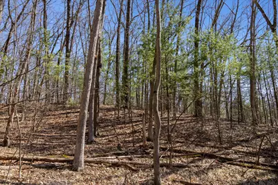 14714 Myers Lake Avenue NE #Parcel B, Cedar Springs, MI 49319 - Photo 20