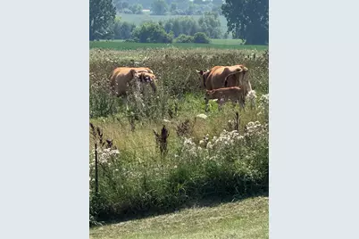 10989 Scio Church Road, Chelsea, MI 48118 - Photo 66