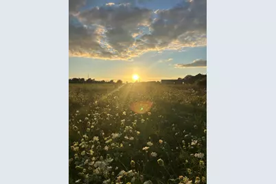 10989 Scio Church Road, Chelsea, MI 48118 - Photo 78