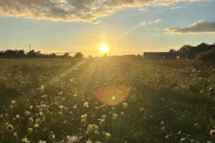 10989 Scio Church Rd, Chelsea, MI 48118 - Photo 78