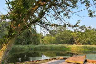 10989 Scio Church Rd, Chelsea, MI 48118 - Photo 58