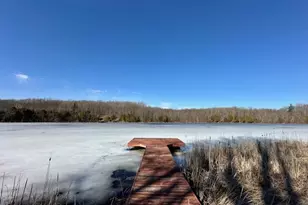 5993 Crepin Ln, Hesperia, MI 49421 - Photo 2