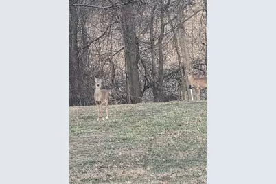 2722 Woods View Drive, Hillsdale, MI 49242 - Photo 8