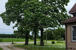 5818 US Hwy 31, Free Soil, MI 49411 - Photo 34