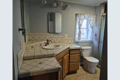 212 Marshall Street, Litchfield, MI 49252 - Photo 20