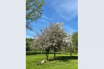 3685 Holcomb Road, North Adams, MI 49262 - Photo 52