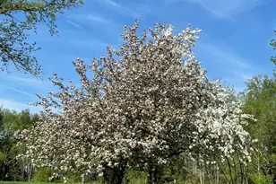 3685 Holcomb Rd, North Adams, MI 49262 - Photo 52