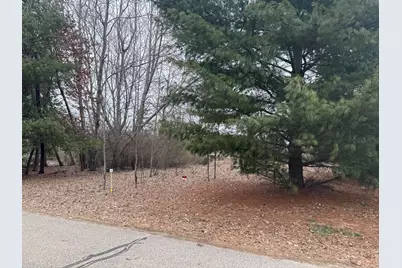 10340 N Peninsula Drive, Stanwood, MI 49346 - Photo 4