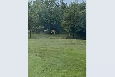 8433 Rolling, Grant, MI 49327 - Photo 4