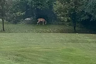 8433 Rolling Meadows, Grant Township, MI 48032 - Photo 4