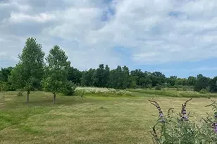 8433 Rolling Meadows, Grant Township, MI 48032 - Photo 20