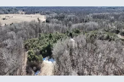 V/L 200th Avenue, Tustin, MI 49688 - Photo 6