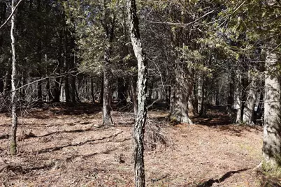 V/L 200th Avenue, Tustin, MI 49688 - Photo 40