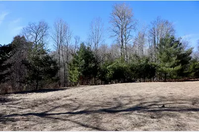 V/L 200th Avenue, Tustin, MI 49688 - Photo 20