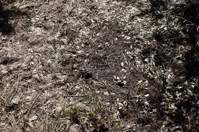 V/L 200th Avenue, Tustin, MI 49688 - Photo 32