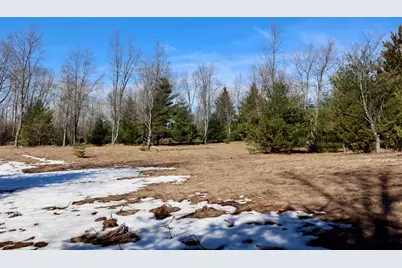 V/L 200th Avenue, Tustin, MI 49688 - Photo 26